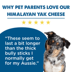 Yak Cheese Dog Chews product image 8