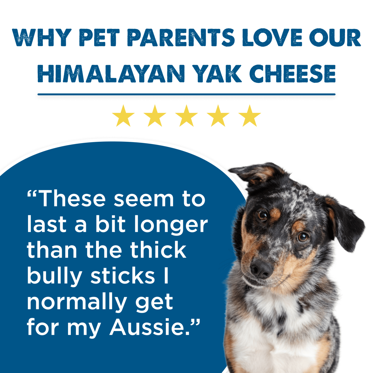 Yak Cheese Dog Chews product image 8