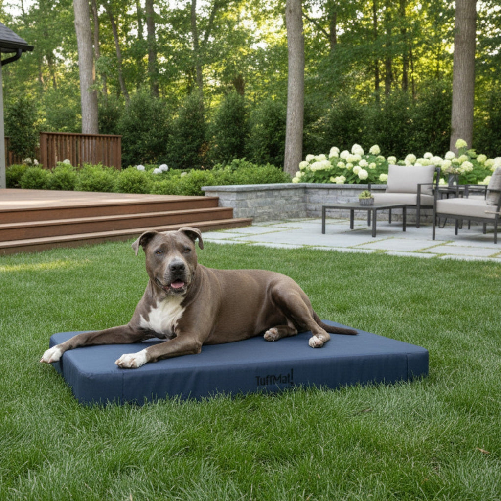 Waterproof Orthopedic Dog Bed product image 9