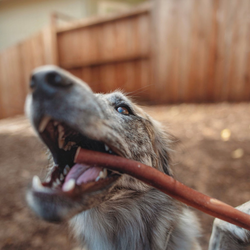 Beef Bully Sticks product image 4