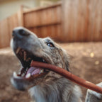 Beef Bully Sticks product image 4