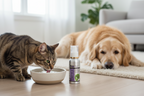 Pet Dental Remedy product image 2