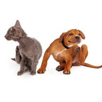 Pet Flea & Tick Care Liquid product image 2