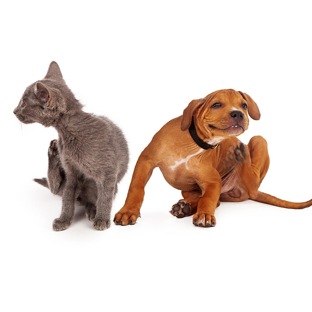 Pet Flea & Tick Care Liquid product image 2