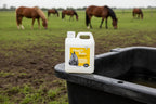 Horse Immune Support product image 5