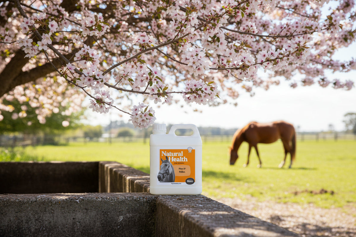 Equine Allergy Support product image 5