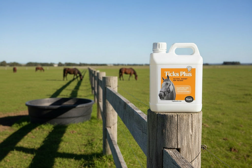 Horse Supplement product image 5
