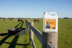 Horse Supplement product image 5
