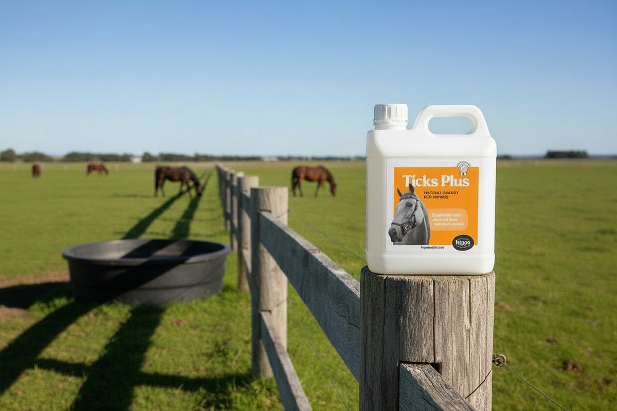 Horse Supplement product image 5