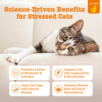 Cat Calming Chews product image 2