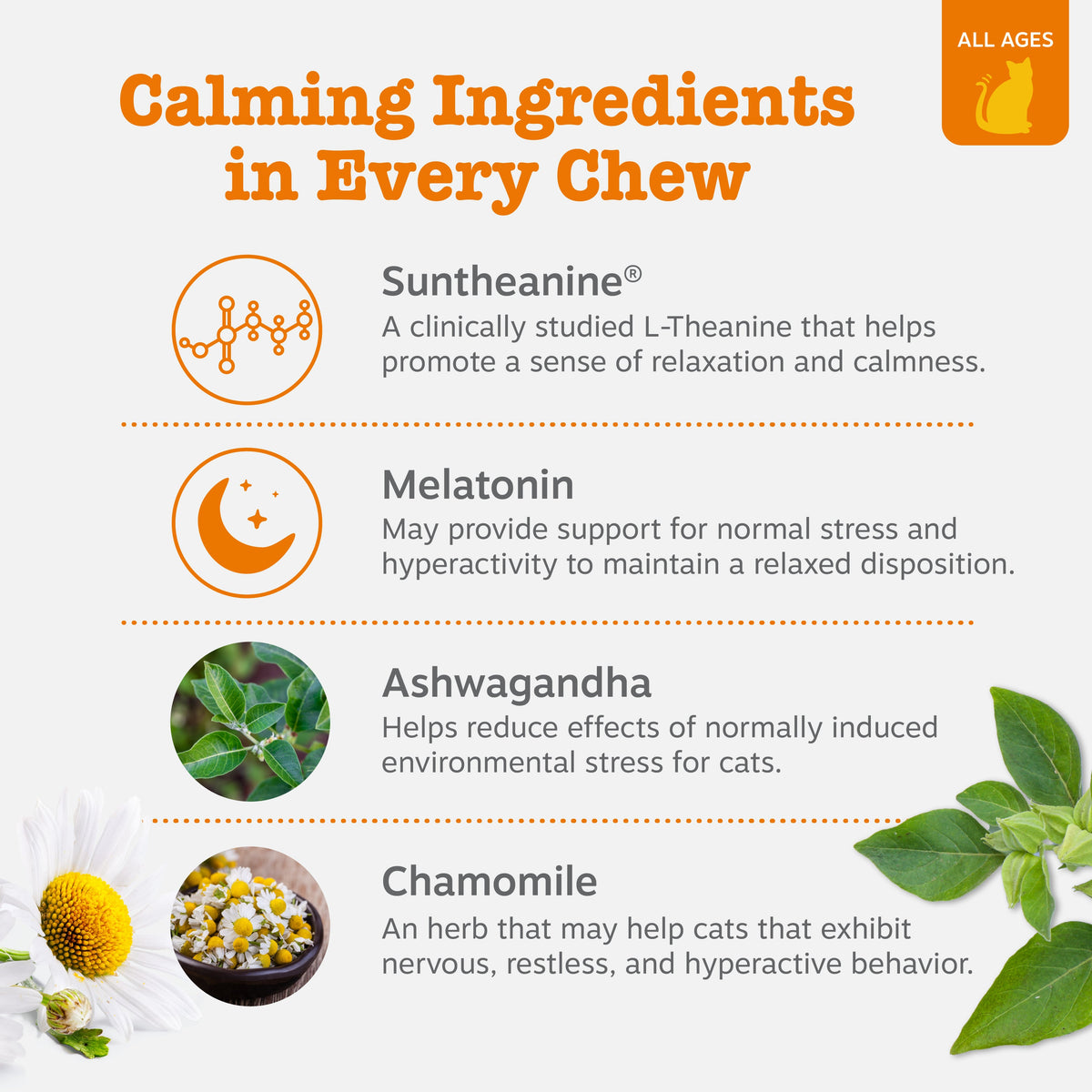 Cat Calming Chews product image 3