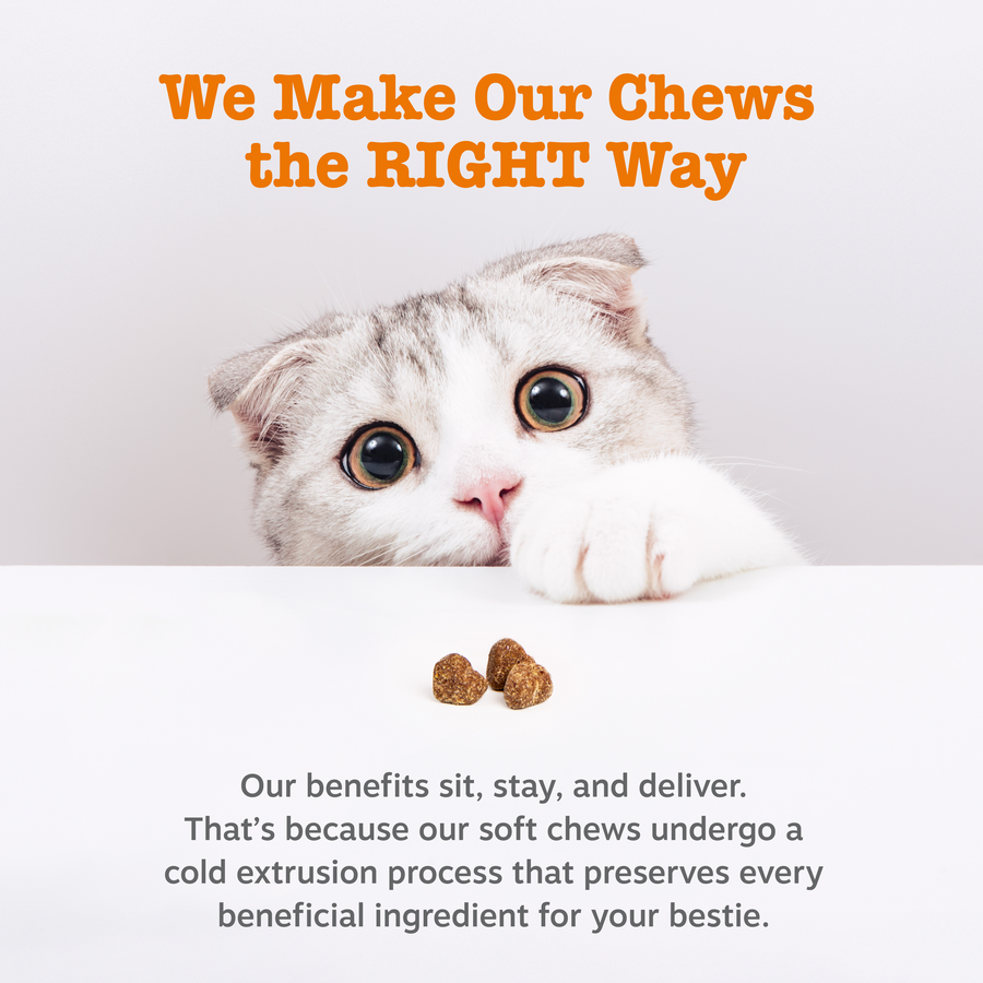 Cat Hairball Chews product image 5