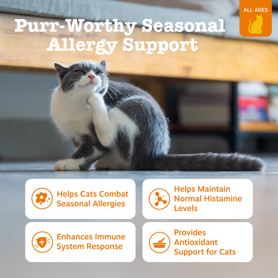 Cat Immune Supplement product image 3