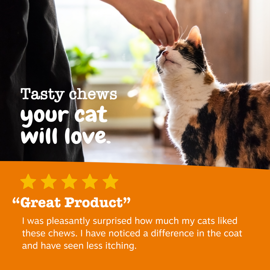 Cat Immune Supplement product image 5