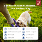 Dog Supplement Chews product image 2