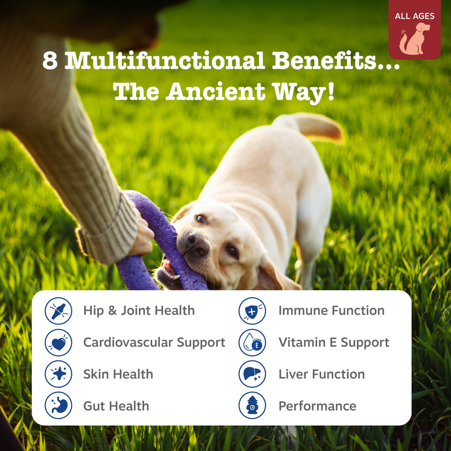 Dog Supplement Chews product image 2