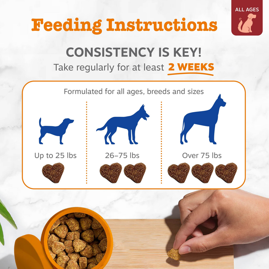 Dog Supplement Chews product image 3