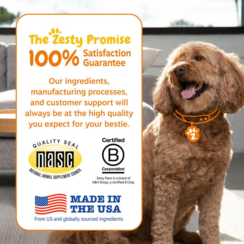 Dog Probiotic Chew product image 5