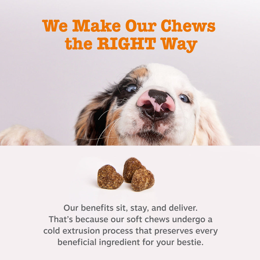 Dog Probiotic Chew product image 7