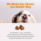 Dog Probiotic Chew product image 7