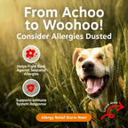 Dog Immune Support Chews product image 2