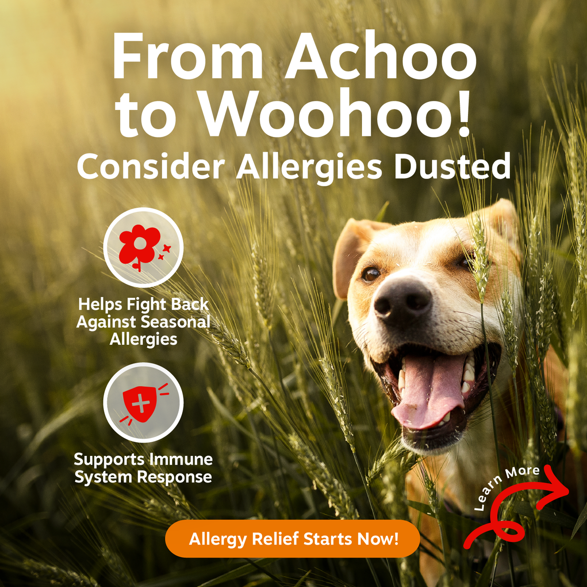 Dog Immune Support Chews product image 2