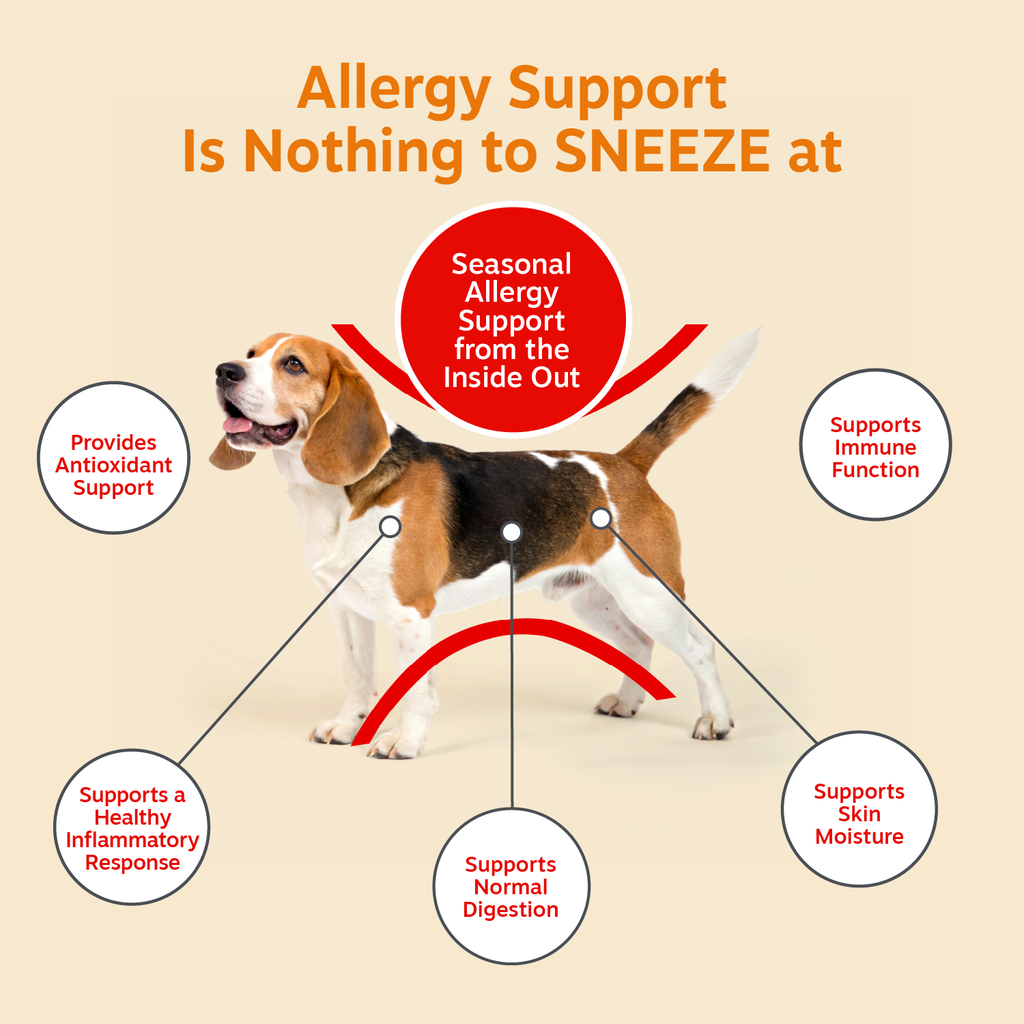 Dog Immune Support Chews product image 3