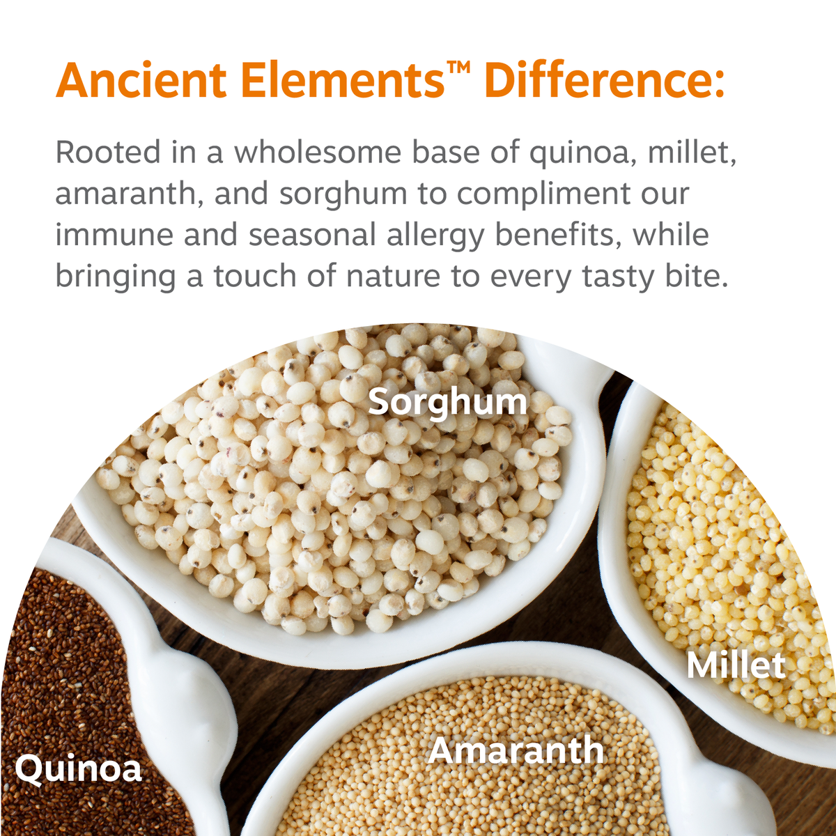 Dog Immune Support Chews product image 6