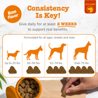 Dog Immune Support Chews product image 8