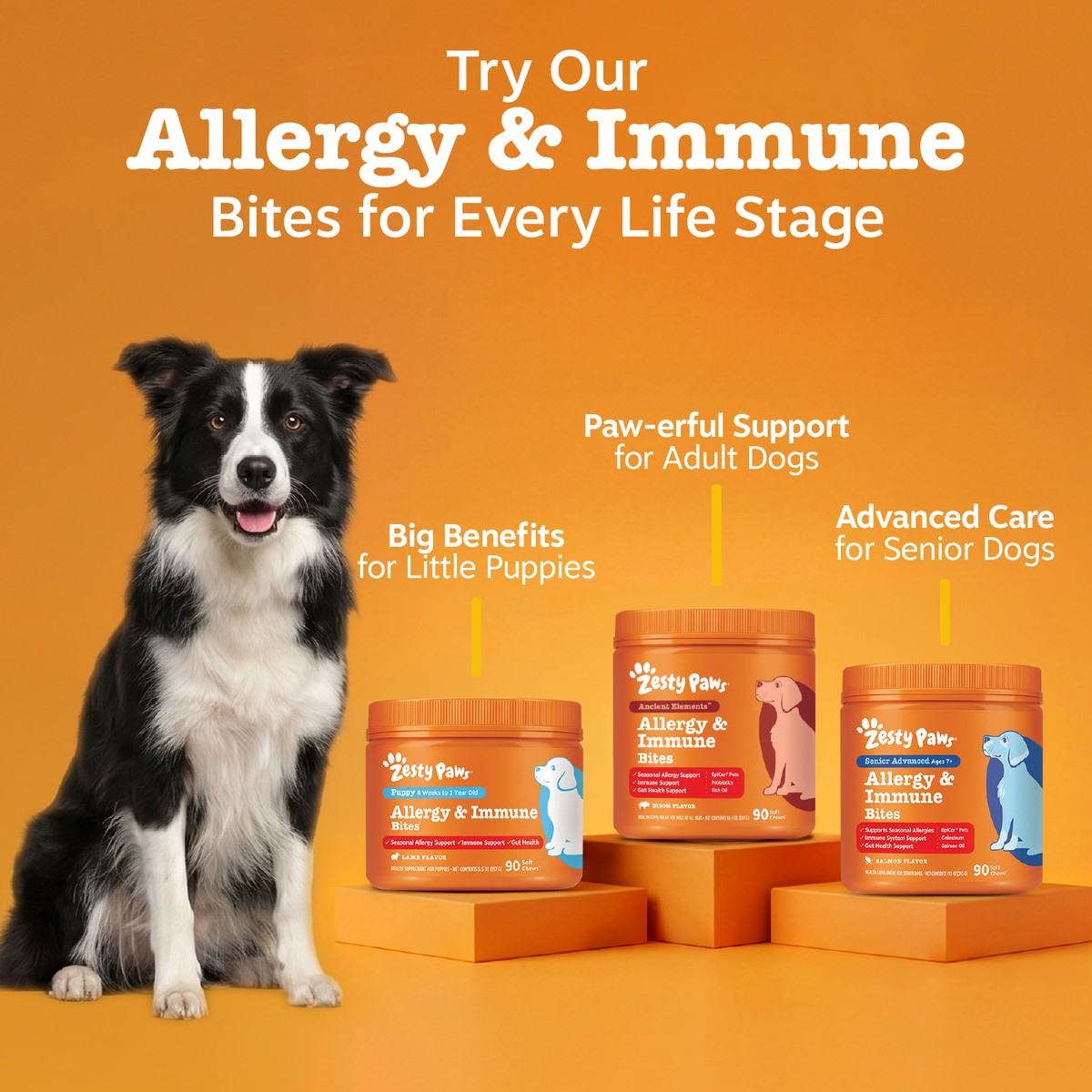 Dog Immune Support Chews product image 11
