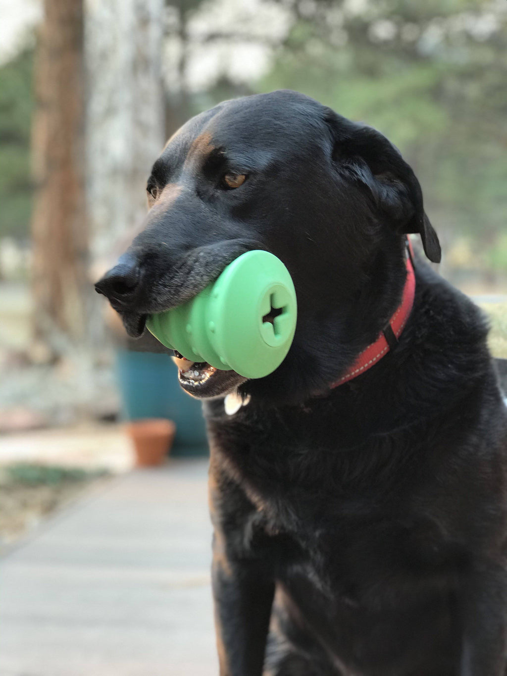 Dog Treat Toy product image 5