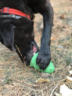 Dog Treat Toy product image 8