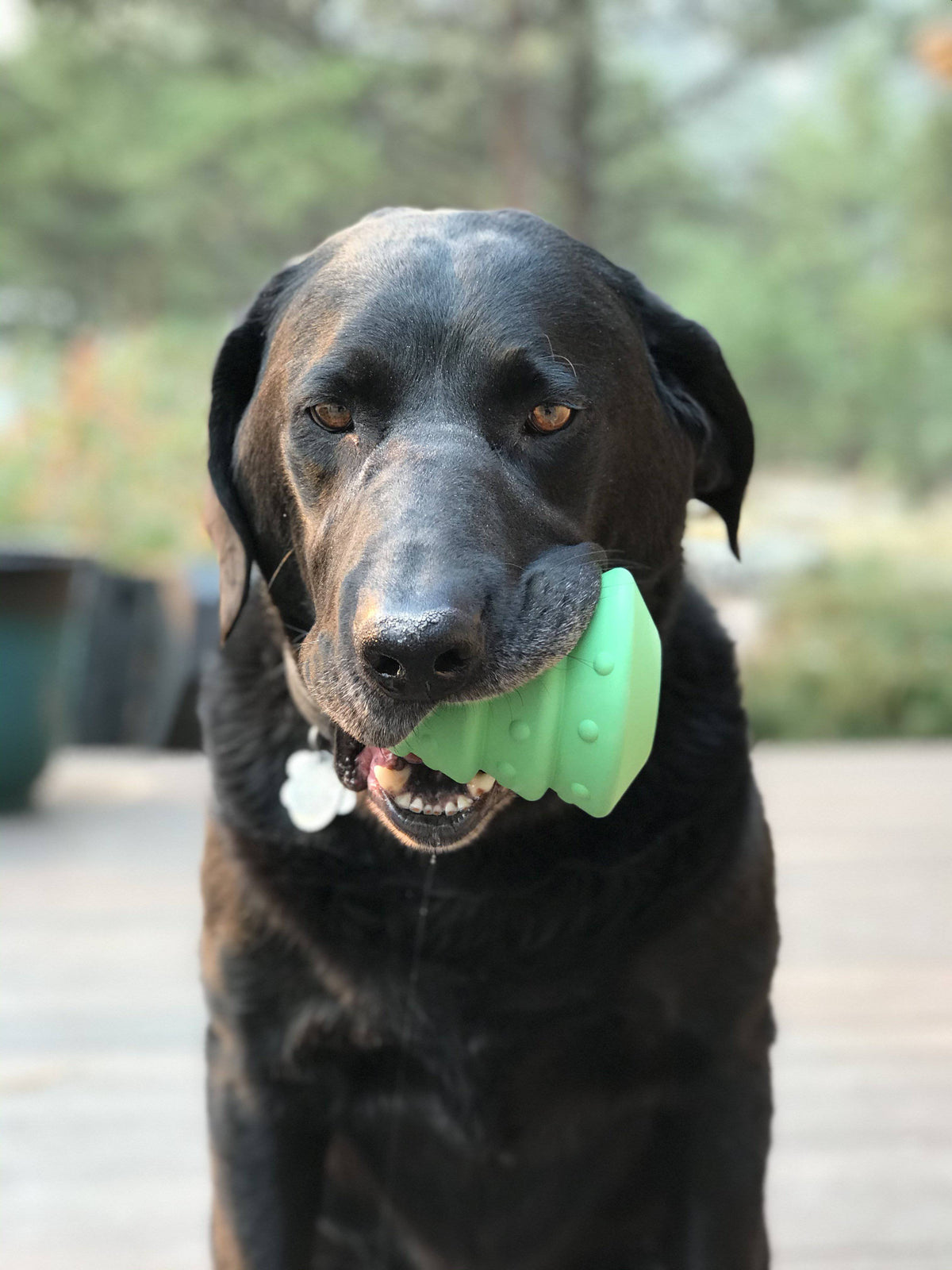 Dog Treat Toy product image 10