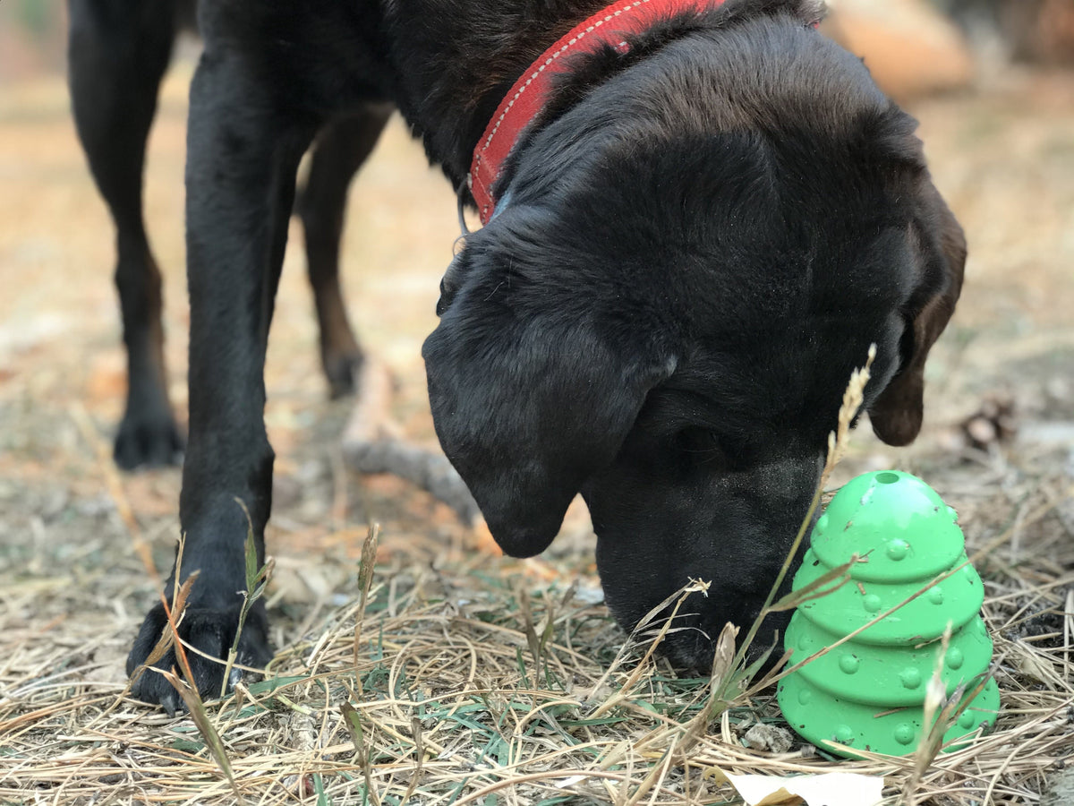 Dog Treat Toy product image 11