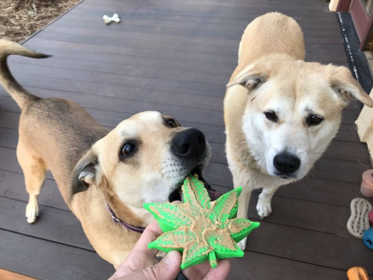 Nylon Dog Chew Toy product image 5