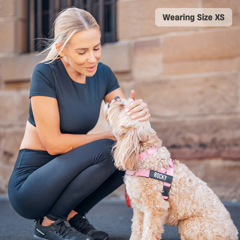 Adjustable Grab-Handle Dog Harness product image 15