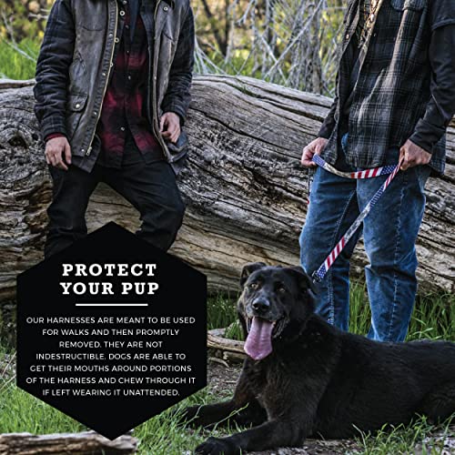 Dog Harness for Comfortable Daily Walks, Adjustable Abrasion-Resistant Polyester Fit for Small to XL Dogs