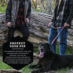 Dog Harness for Comfortable Daily Walks, Adjustable Abrasion-Resistant Polyester Fit for Small to XL Dogs