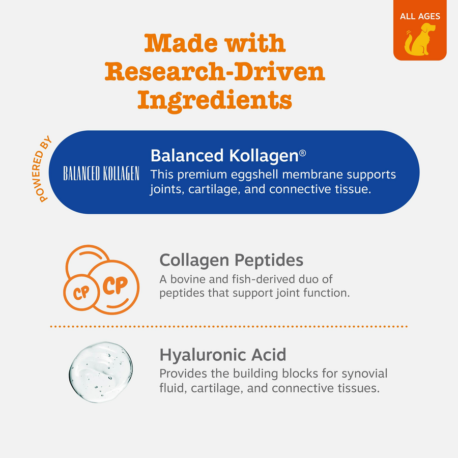 Dog Joint Supplement product image 2