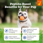 Dog Joint Supplement product image 4
