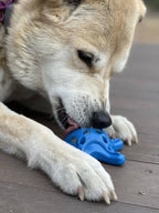 Dog Chew Toy product image 11