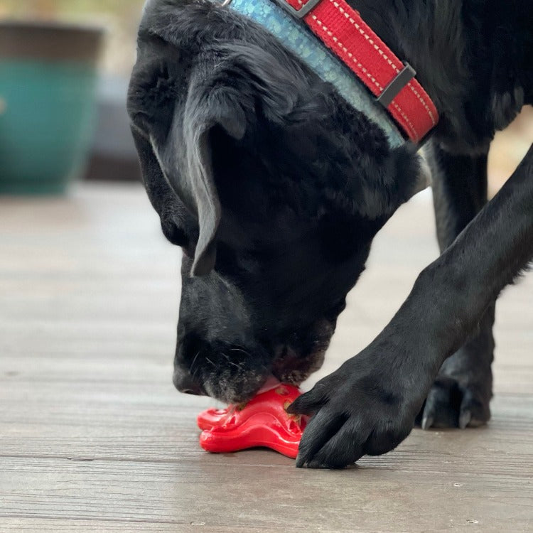 Dog Chew Toy product image 12