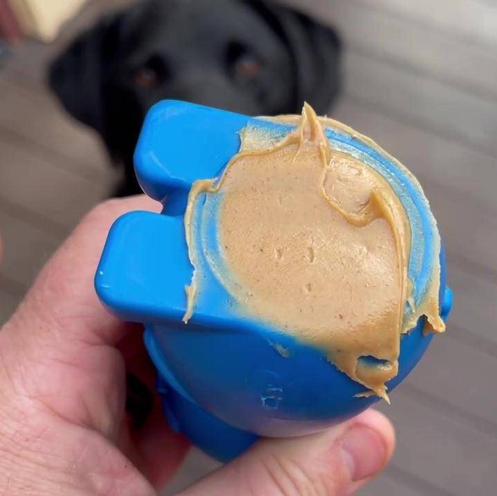 Nylon Dog Toy product image 5