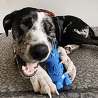 Nylon Dog Toy product image 7
