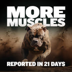 Dog Food and Supplement Bundle product image 8