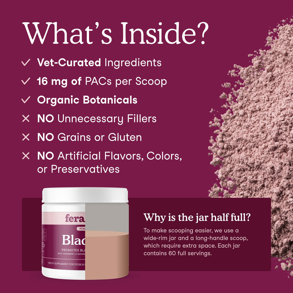 Bladder Support product image 3