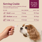 Bladder Support product image 4