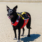 Dog Flotation PFD product image 2