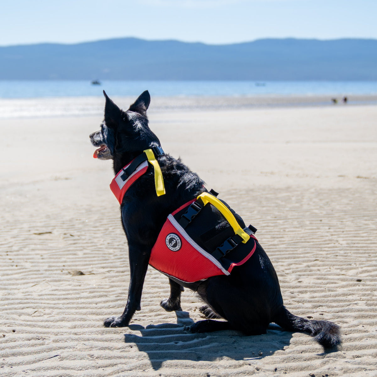 Dog Flotation PFD product image 5