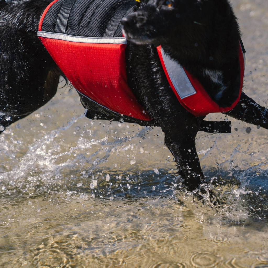 Dog Flotation PFD product image 6